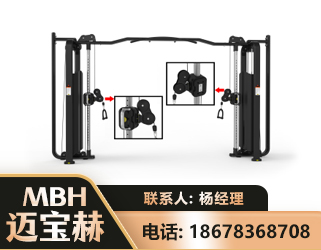 景德镇大飞鸟训练器