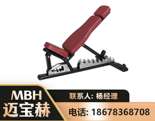 景德镇可调哑铃椅