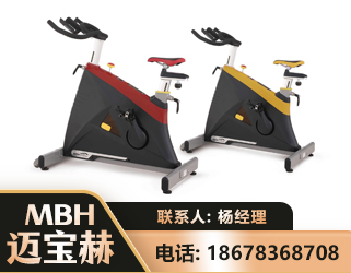 景德镇商用动感单车